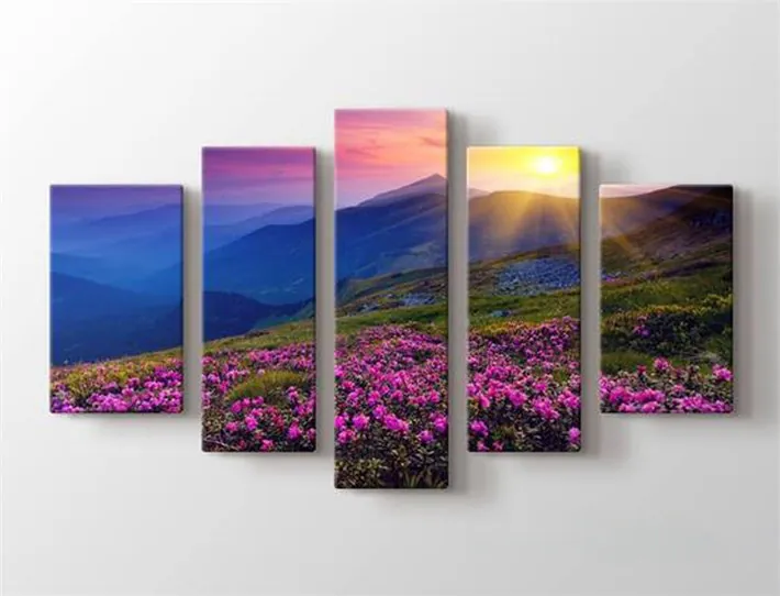 Dağ Yamacı Pembe Çiçekler ve Gün Batımı