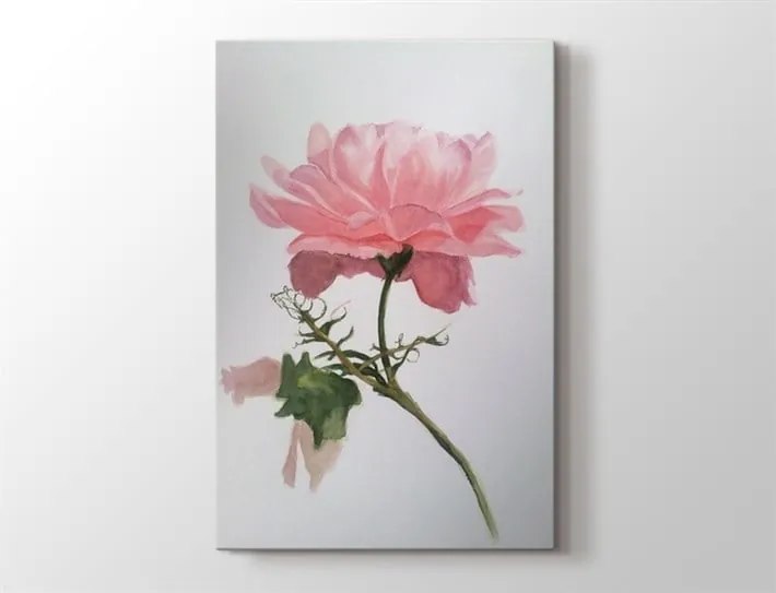 Pembe gül Tek Parça Kanvas Tablo