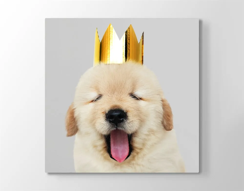 Taçlı Sevimli Köpek Kanvas Tablosu